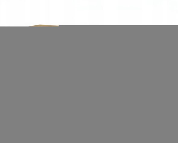 5a2f32b4b2f4557dae3c4b66ea1c04df